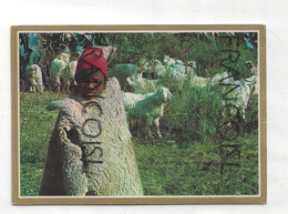 Lesotho. Young Herdboy With His Angora Flock. Petit Pâtre - Lesotho