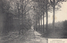 Postkaart/Carte Postale - ZANDHOVEN - Begijnebosch  (C395) - Zandhoven