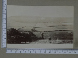 UNITED KINGDON - WHITE HORSE -  WEYMOUTH -   2 SCANS   - (Nº40181) - Weymouth