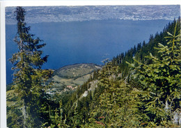 CPSM 74 THOLLON Les MEMISES Depuis Le Plateau Des Memises, échappée Sur Le Lac Léman Et La Côte Suisse - Thollon