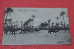 Libia Libya Tripoli Viale Hamamje 1912 Ed. Alterocca + Timbro Poste Militare IV Divisione - Libia