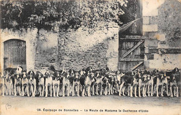 Rambouillet      78      Chasse A Courre. Equipage Bonnelles .La Meute De Mme  Duchesse D'Uzès     (voir Scan) - Rambouillet