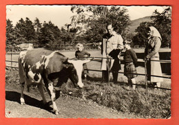 ZIH-23 Royal Family Von England At Balmoral. Reine Elizabeth,Prince Phillip,Prince Charles. Used. . ETAT ! - Familles Royales