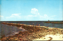 Florida Venice World Famed Fishing Jetties - Venice