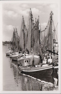 D-24340 Eckernförde - Fischkutter - (Echt Foto) - Eckernförde