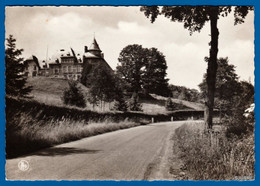 AMONINES / Erezée - Château De BLIER - Kasteel - Vakantieoord - Erezée