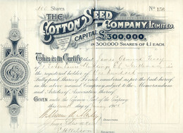 UNITED KINGDOM 1901 THE COTTON SEED COMPANY Ltd., London, Certificate No. 156 - Landbouw