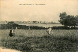 Ile Tudy * Les Moissonneurs * Travail Aux Champs * Fenaison Agriculture Paysan Métier - Ile Tudy