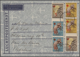 Niederländisch-Neuguinea: 1950 - 1962, Collection On Postal History With Business Mail, Also FDC (ca - Netherlands New Guinea