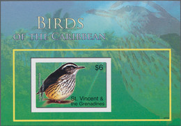 St. Vincent: 2003/2010. Exciting Collection With Imperforate Mint, Nh, Issues, Which Partly To Our K - St.Vincent (1979-...)