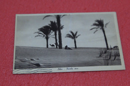 Libia Libya Tripoli Piccola Oasi 1939 Ed. Ferrara - Libyen