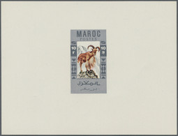 Thematik: Tiere, Fauna / Animals, Fauna: 1950s/1960s, Morocco. Lot Containing 26 Different Single Di - Andere & Zonder Classificatie