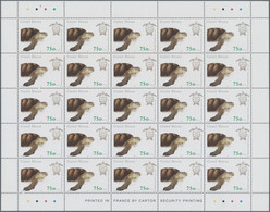 Thematik: Tiere-Schildkröten / Animals-turtles: 2001, Guinea-Bissau: SEA TURTLES, Complete Set Of Fo - Tortugas