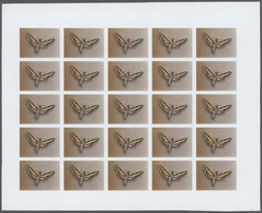 Thematik: Tiere-Schmetterlinge / Animals-butterflies: 1982, Morocco. Progressive Proofs Set Of Sheet - Papillons