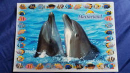 CPM LE PARC DE LA MER MARINELAND ANTIBES  DAUPHINS DECOR POISSONS - Dolphins