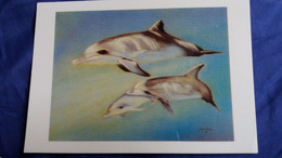 CPM  DAUPHINS DESINES BERTULESSI SELBOR PROD - Dolphins