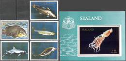 0063 ✅ Fauna Fishes Marine Life Animals Chinderella 1970 Sealand 5v+S/s Set MNH ** - Fishes