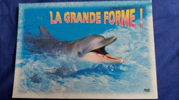 CPM  DAUPHIN LA GRANDE FORME  RGO CREATIONS  EDY - Dolphins