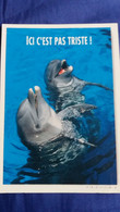 CPM DAUPHINS ICI C EST PAS TRISTE FEELING COMBIER ZONE BLEUE - Dolphins