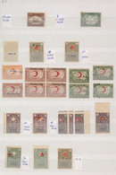 Türkei - Zwangszuschlagsmarken Für Den Roten Halbmond: 1927/1957, VARIETIES, Collection Of Apprx. 32 - Charity Stamps