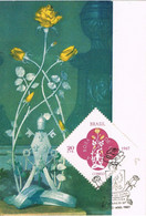 39239. Tarjeta Maxima  ARECIDA (Brasil) 1967. ROSA De OURO, Flowers, Flores - Maximumkaarten