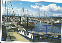 LARGER SIZED POSTCARD - Largs Yacht Haven On The Firth Of Clyde - SCOTLAND - Ayrshire
