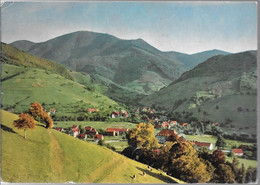 CPA-1965-ALLEMAGNE-MUENSTERTAL VUE GENERALE-TBE - Muenstertal