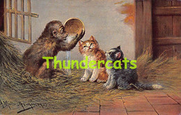 CPA ILLUSTRATEUR CHAT   ARTIST SIGNED CAT AUGUST  MULLER MUNICH MONKEY APE - Müller, August - München