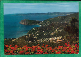 Le Rayol-Canadel-sur-Mer (83) Les Mas Du Canadel Le Cap Nègre Et Prasmouquier Le Cap Bénat 2scans - Rayol-Canadel-sur-Mer