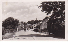 Renesse Hoogezoom RS155 - Renesse