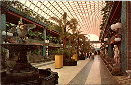 Florida Clearwater Kapok Tree Inn Mall Interior - Clearwater