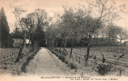 Blanquefort - Domaine Viticole De Curgan (Vignoble Bordelais) Imp. L. Guillier, Bordeaux - Carte Non Circulée - Blanquefort