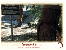 (HH 13) Australia  - SA - Innamincka King's Tree (with Stamp) With QLD Birdsville Postmark - Sonstige & Ohne Zuordnung