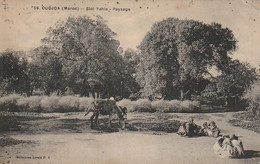Delcampe - Carte Postale. Maroc Oriental. Oujda. Sidi Yahya. Paysage. Personnes Assises. Âne. Arbres. Écrite. Etat Moyen. Taches - Oujda