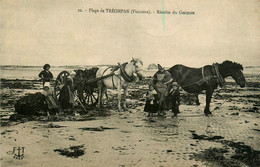 Ploudalmézeau * La Plage De Tréompan * La Récolte Du Goëmon * Attelage - Ploudalmézeau