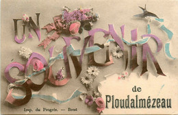 Ploudalmézeau * Un Souvenir De La Commune - Ploudalmézeau