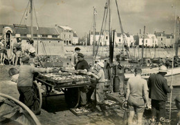 La Turballe * Débarquement Des Sardines * Sardiniers Pêche Pêcheurs - La Turballe