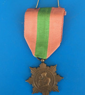 1930/34✔️Médaille En Bronze La Patrie Reconnaissante Ministère De La Santé Publique -allaitement éducation Maternité - 1914-18