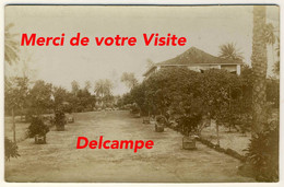 Carte Photo Précurseur Albuminée - Conakry - Jardin Botanique Camayenne - 2 Scans - Guinée