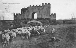 Roma Ponte Momentano  Pastore E Pecora - Brücken