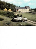 Delcampe - 48  AUMONT AUBRAC - Aumont Aubrac