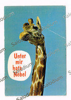 Giraffa - Storia Postale Helvetia Svizzera - Humor - Girafes