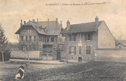 St Arnoult En Yvelines         78           Château De Nuisement         (voir Scan) - St. Arnoult En Yvelines