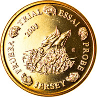 Jersey, Médaille, 50 C, Essai Trial, 2003, Paranumismatique, FDC, Laiton - Autres & Non Classés