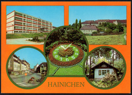E8091 - TOP Hainichen - Bild Und Heimat Reichenbach - Hainichen