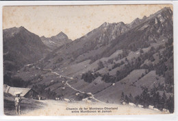 Allières, Chalet Et Troupeau, Armailli Portant Le Fromage Sur L'oji. Chemin De Fer M.O.B. Entre Montbovon Et Jaman - Montbovon