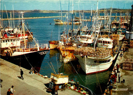 Douarnenez * Vue Sur Le Port * Bateau Pêche - Douarnenez