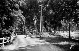 Le Quesnoy * Les Bords De L'étang * Route Chemin - Le Quesnoy