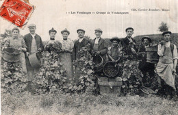 CPA     LES VENDANGES---GROUPE DE VENDANGEURS---TRES ANIMEE - Cultures