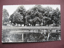 CPA PHOTO 39 GENDREY Champ De Foire RARE PLAN ? 1950 Canton AUTHUME Leger Manque De Brillance - Gendrey